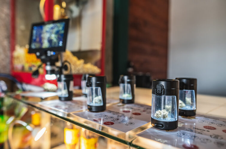 Flower samples under the magnifier display