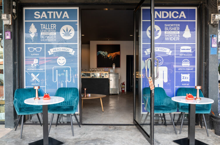 MR.WEED storefront with large Sativa and Indica information posters on the glass doors