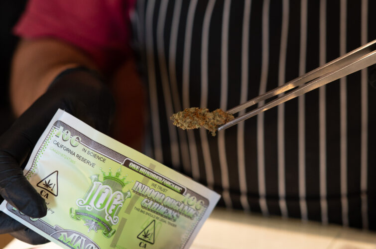 Staff inspecting an organic bud with tweezers