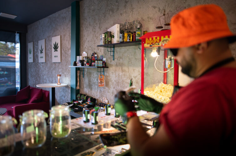 Staff preparing flower beside the sativa, hybrid, indica posters